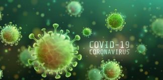 corona virus